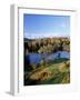 Tarn Hows, Lake District National Park, Cumbria, England, United Kingdom-Roy Rainford-Framed Photographic Print