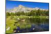 Tarn under Mount Dana, Tuolumne Meadows, Yosemite National Park, California, USA-Russ Bishop-Mounted Photographic Print