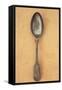 Tarnished Silver Teaspoon-Den Reader-Framed Stretched Canvas