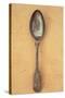 Tarnished Silver Teaspoon-Den Reader-Stretched Canvas