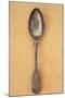 Tarnished Silver Teaspoon-Den Reader-Mounted Photographic Print