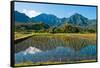 Taro field, Hanalei, Kauai, Hawaii-Mark A Johnson-Framed Stretched Canvas