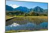 Taro field, Hanalei, Kauai, Hawaii-Mark A Johnson-Mounted Photographic Print