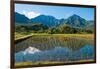 Taro field, Hanalei, Kauai, Hawaii-Mark A Johnson-Framed Photographic Print