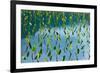 Taro field, Hanalei, Kauai, Hawaii-Mark A Johnson-Framed Photographic Print