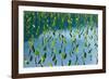 Taro field, Hanalei, Kauai, Hawaii-Mark A Johnson-Framed Photographic Print