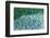 Taro field, Hanalei, Kauai, Hawaii-Mark A Johnson-Framed Photographic Print