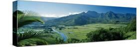 Taro Fields, Hanalei Valley, Kauai, Hawaii, USA-null-Stretched Canvas