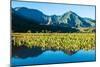 Taro fields, Hanalei Valley, Kauai, Hawaii, USA-Mark A Johnson-Mounted Photographic Print