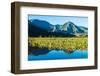 Taro fields, Hanalei Valley, Kauai, Hawaii, USA-Mark A Johnson-Framed Photographic Print