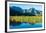 Taro fields, Hanalei Valley, Kauai, Hawaii, USA-Mark A Johnson-Framed Photographic Print