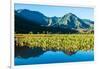 Taro fields, Hanalei Valley, Kauai, Hawaii, USA-Mark A Johnson-Framed Photographic Print