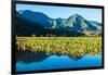 Taro fields, Hanalei Valley, Kauai, Hawaii, USA-Mark A Johnson-Framed Photographic Print