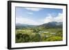 Taro Fields in Hanalei National Wildlife Refuge, Hanalei Valley, Kauai, Hawaii-Michael DeFreitas-Framed Photographic Print