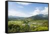 Taro Fields in Hanalei National Wildlife Refuge, Hanalei Valley, Kauai, Hawaii-Michael DeFreitas-Framed Stretched Canvas