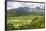 Taro Fields in Hanalei National Wildlife Refuge-Michael DeFreitas-Framed Photographic Print