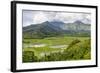 Taro Fields in Hanalei National Wildlife Refuge-Michael DeFreitas-Framed Photographic Print