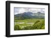 Taro Fields in Hanalei National Wildlife Refuge-Michael DeFreitas-Framed Photographic Print