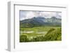 Taro Fields in Hanalei National Wildlife Refuge-Michael DeFreitas-Framed Photographic Print