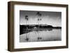 Taro Fields Near Waikiki and Diamond Head, Oahua, Hawaii Circa 1890-null-Framed Photographic Print