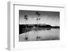 Taro Fields Near Waikiki and Diamond Head, Oahua, Hawaii Circa 1890-null-Framed Photographic Print