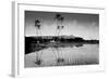 Taro Fields Near Waikiki and Diamond Head, Oahua, Hawaii Circa 1890-null-Framed Photographic Print