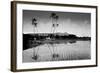 Taro Fields Near Waikiki and Diamond Head, Oahua, Hawaii Circa 1890-null-Framed Photographic Print