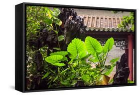 Taro Plant, Foshan Ancestral Temple, Foshan, China-Stuart Westmorland-Framed Stretched Canvas