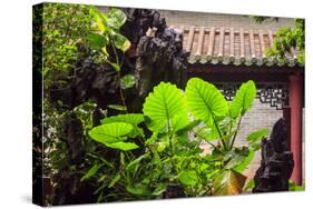 Taro Plant, Foshan Ancestral Temple, Foshan, China-Stuart Westmorland-Stretched Canvas