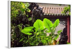 Taro Plant, Foshan Ancestral Temple, Foshan, China-Stuart Westmorland-Framed Photographic Print