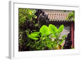 Taro Plant, Foshan Ancestral Temple, Foshan, China-Stuart Westmorland-Framed Photographic Print