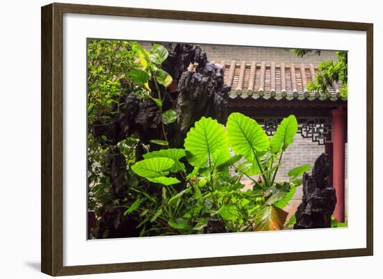 Taro Plant, Foshan Ancestral Temple, Foshan, China-Stuart Westmorland-Framed Photographic Print