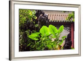 Taro Plant, Foshan Ancestral Temple, Foshan, China-Stuart Westmorland-Framed Photographic Print