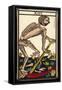 Tarot: 13 La Mort, Death-null-Framed Stretched Canvas