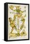 Tarot Card Depicting Wheel of Fortune, 16th Century, Italy-null-Framed Stretched Canvas