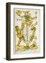 Tarot Card Depicting Wheel of Fortune, 16th Century, Italy-null-Framed Giclee Print