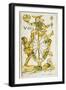 Tarot Card Depicting Wheel of Fortune, 16th Century, Italy-null-Framed Giclee Print