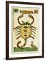 Tarot Card for Scorpio, 16th Century, Italy-null-Framed Giclee Print