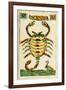 Tarot Card for Scorpio, 16th Century, Italy-null-Framed Giclee Print