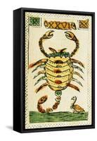 Tarot Card for Scorpio, 16th Century, Italy-null-Framed Stretched Canvas