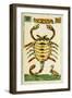 Tarot Card for Scorpio, 16th Century, Italy-null-Framed Premium Giclee Print
