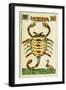 Tarot Card for Scorpio, 16th Century, Italy-null-Framed Premium Giclee Print