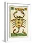 Tarot Card for Scorpio, 16th Century, Italy-null-Framed Premium Giclee Print