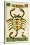 Tarot Card for Scorpio, 16th Century, Italy-null-Stretched Canvas