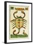 Tarot Card for Scorpio, 16th Century, Italy-null-Framed Giclee Print