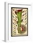 Tarot: The Ace of Clubs-null-Framed Photographic Print