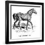 Tarpan, 1850-null-Framed Giclee Print