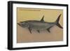 Tarpon Fish from SW Coast of Florida - Florida-Lantern Press-Framed Art Print