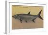 Tarpon Fish from SW Coast of Florida - Florida-Lantern Press-Framed Art Print