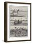 Tarpon-Fishing in a Florida River-Richard Caton Woodville II-Framed Giclee Print